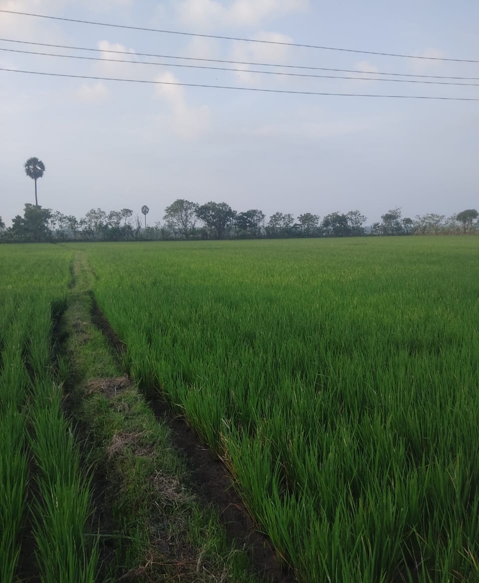 10 Acres