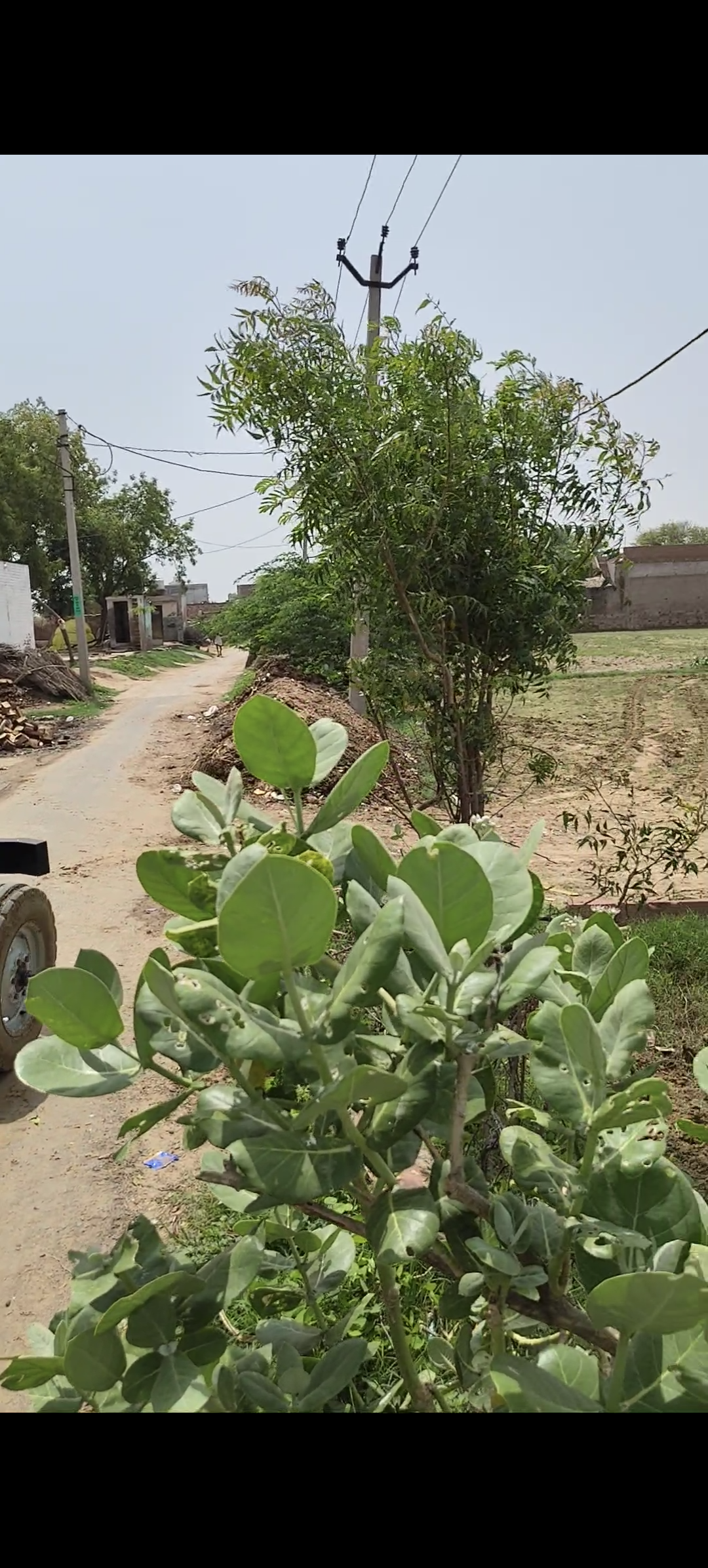 7.5 acre For Agriculture