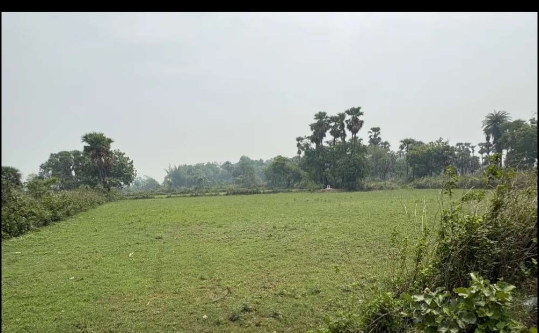 “52 Acre NH Roadside Land for Sale in Angul – Industrial, Commercial & Investment Opportunity” ⭐