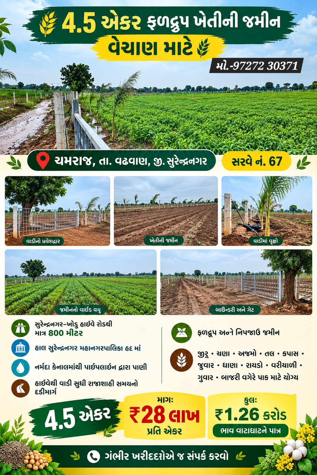 For Sale 4.5 acres Fertile Farm, in Surendranagar Municipal Corporation, Surendra nagar, Gujarath