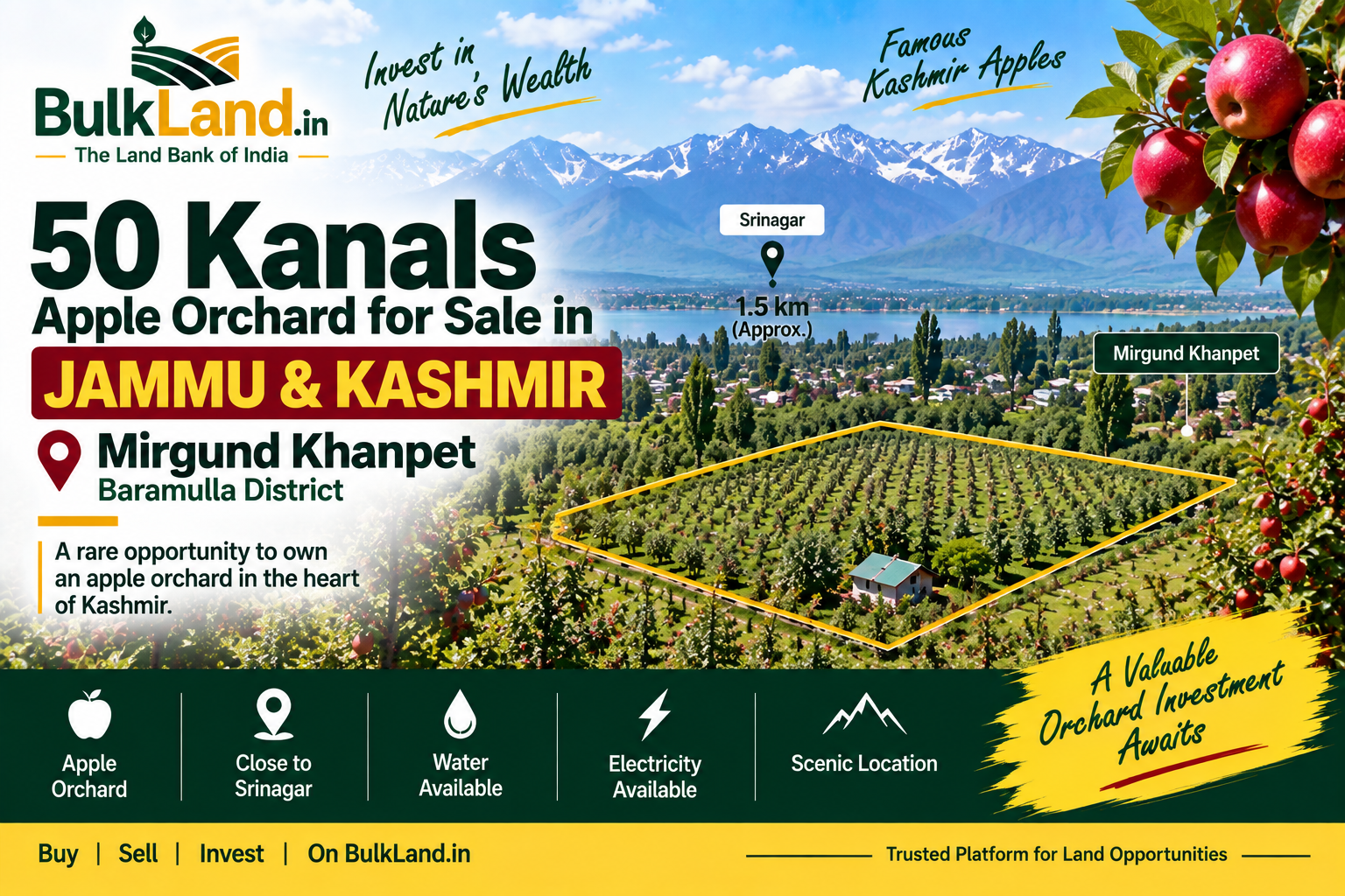 50-Kanal Apple Orchard for Sale — Mirgund Khanpet, Baramulla, Jammu & Kashmir